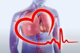 Waspadai Cacat Jantung Bawaan Pada Masa Kandungan